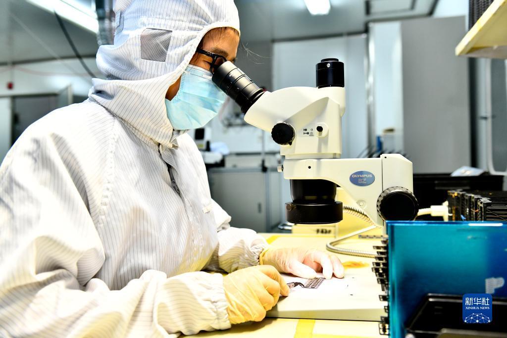 庄闲分析软件安卓版